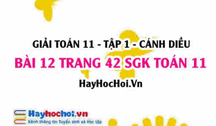 Giải bài 12 trang 42 Toán 11 tập 1 SGK Cánh Diều